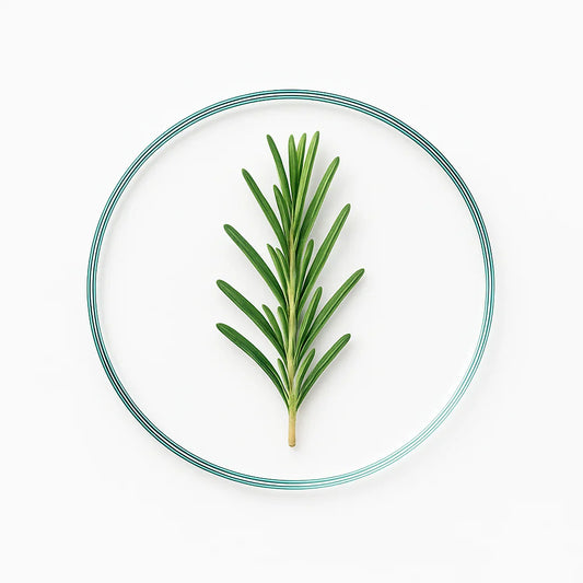 Rosemary Oil